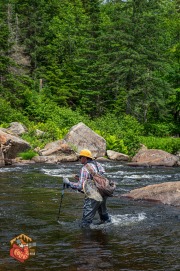 20240612-Z6-ausable-fyfish-153