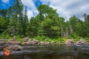 20240612-Z6-ausable-fyfish-156