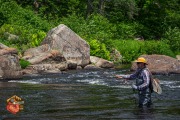 20240612-Z6-ausable-fyfish-167