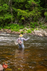 20240612-Z6-ausable-fyfish-18