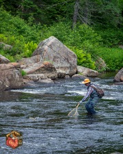 20240612-Z6-ausable-fyfish-186