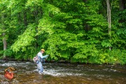 20240613-Z6-saranac-chateaugay-salmon-fyfish-179