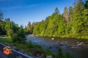 20240613-Z6-saranac-chateaugay-salmon-fyfish-18