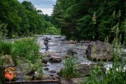 20240613-Z6-saranac-chateaugay-salmon-fyfish-248