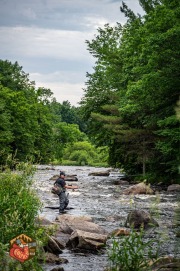 20240613-Z6-saranac-chateaugay-salmon-fyfish-254