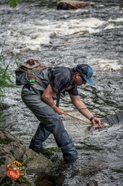 20240613-Z6-saranac-chateaugay-salmon-fyfish-269