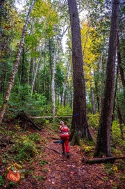 2024-09-24-Z6-Algonquinpark-257