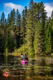 2024-09-26-Z6-Algonquinpark-138