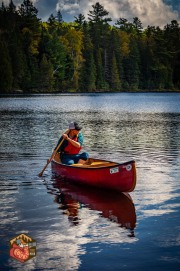 2024-09-26-Z6-Algonquinpark-333