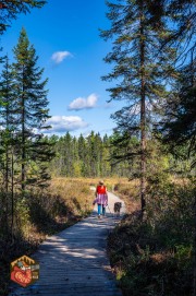 2024-09-26-Z6-Algonquinpark-446