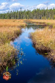 2024-09-26-Z6-Algonquinpark-450