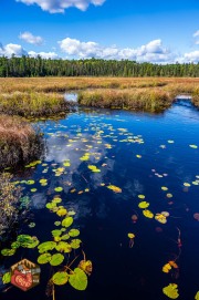 2024-09-26-Z6-Algonquinpark-455