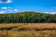 2024-09-26-Z6-Algonquinpark-457