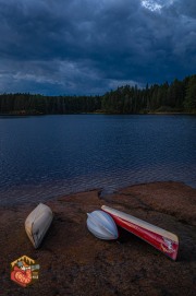 2024-09-26-Z6-Algonquinpark-620