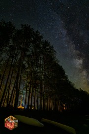 2024-09-26-Z6-Algonquinpark-696