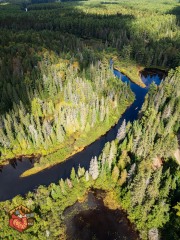 2024-09-26-mini3pro-Algonquinpark-14