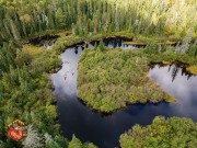 2024-09-26-mini3pro-Algonquinpark-31