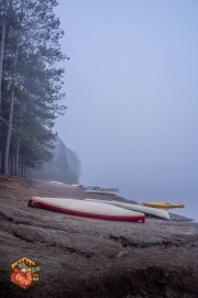 2024-09-27-Z6-Algonquinpark-20