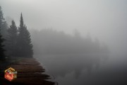 2024-09-27-Z6-Algonquinpark-80