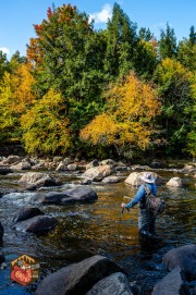 2024-10-05-Z6-adirondacks-404