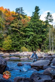 2024-10-05-Z6-adirondacks-419