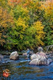 2024-10-05-Z6-adirondacks-440