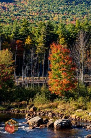 2024-10-05-Z6-adirondacks-521