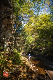 2024-10-06-Z6-adirondacks-210