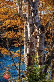 2024-10-06-Z6-adirondacks-34