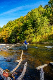 2024-10-06-Z6-adirondacks-63