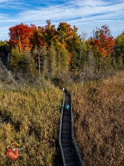 2024-10-13-mini3pro-oldquarry-sunset-57