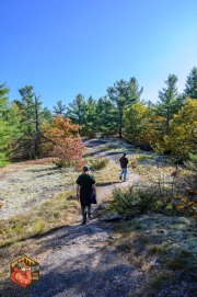 2024-10-19-Z6-CarpBarrens-107