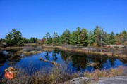 2024-10-19-Z6-CarpBarrens-155