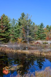 2024-10-19-Z6-CarpBarrens-160