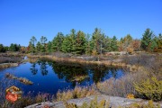 2024-10-19-Z6-CarpBarrens-166