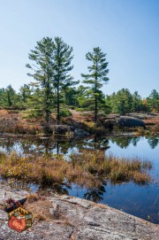 2024-10-19-Z6-CarpBarrens-184