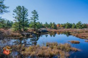 2024-10-19-Z6-CarpBarrens-186