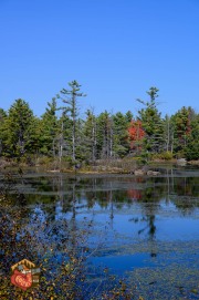 2024-10-19-Z6-CarpBarrens-211