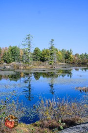 2024-10-19-Z6-CarpBarrens-270