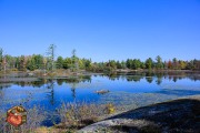 2024-10-19-Z6-CarpBarrens-272