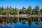 2024-10-19-Z6-CarpBarrens-300