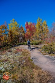 2024-10-19-Z6-CarpBarrens-363