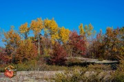 2024-10-19-Z6-CarpBarrens-371