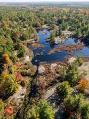 2024-10-19-mini3pro-CarpBarrens-Almonte-11