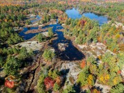 2024-10-19-mini3pro-CarpBarrens-Almonte-2