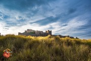 2024-11-29-Z6-Bamburgh-184