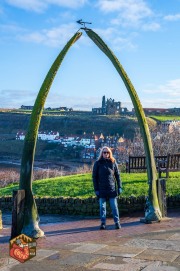 2024-11-28-Z6-Whitby_Sandsend-119