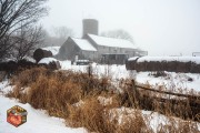 2024-12-11-Z6-Foggy-fields-159