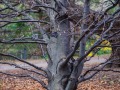 202100425-D750-arboretum-78