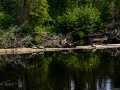 20210612-Z6-bonnechere-66